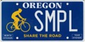 A Car’s Perfect Cycling Accessory