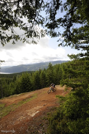  Photo courtesy of Margus Riga 