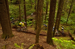Flowing trails amidst healthy forests provide a fantastic playground for mountain bikers.  Photo by Dave Silver