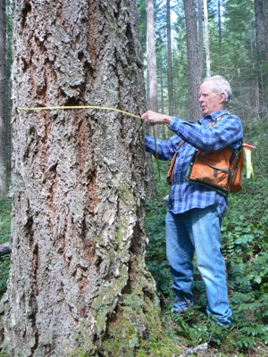 Measuring a tree's diameter. Photo courtesy of Samantha Chirillo. 