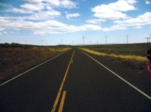Turbines watching my progress.  Photo by Darren  Dencklau