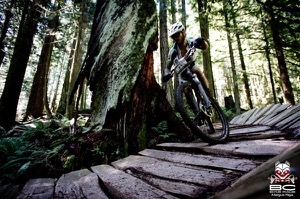 Café Express rider Scott Edmunds hugs a tree while riding one of the many sections of wooden trail. Photo by BC Bike Race 
