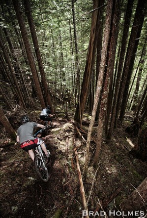  Photo by Brad Holmes 