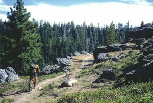 Fifteen Mile Trail is now under the protection of the Fifteen Mile Creek National Recreation Area designation, providing continued biking access for all to enjoy. Photo courtesy of John Zilly/Adventure Press 