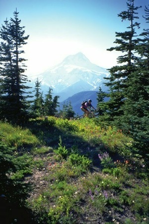 Mount Hood trails are now protected. Photo courtesy of John Zilly/Adventure Press 