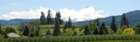 1112?width=140
