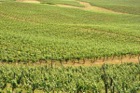 1142?width=140