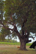1202?width=140