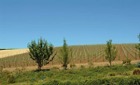 1512?width=140
