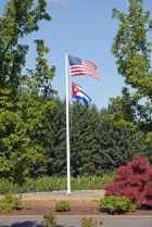 1806?width=140