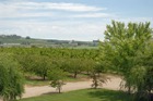 2394?width=140