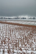 2711?width=140