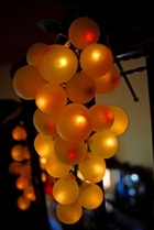 3398?width=140