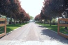 3740?width=140