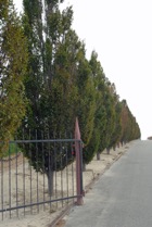 4521?width=140