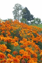 4534?width=140