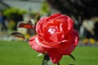 4664?width=140