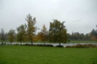 594?width=140